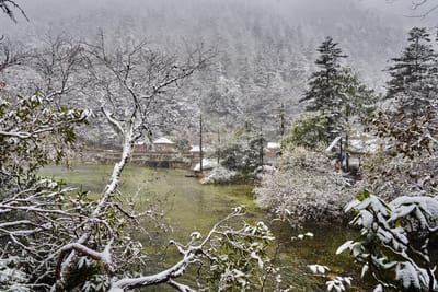 木格措初雪後的靜謐湖畔