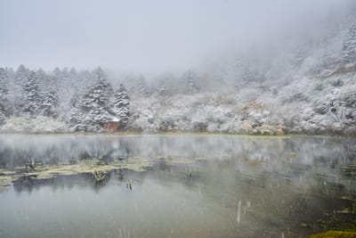 木格措湖畔的初雪靜謐時光