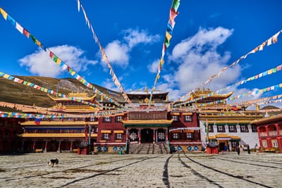 塔公寺的五彩經幡與金頂建築