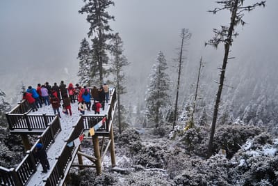 剪子灣山的雪中觀景台