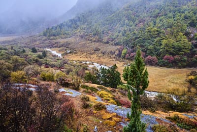 亞丁保護區秋色溪谷與雲霧山巒