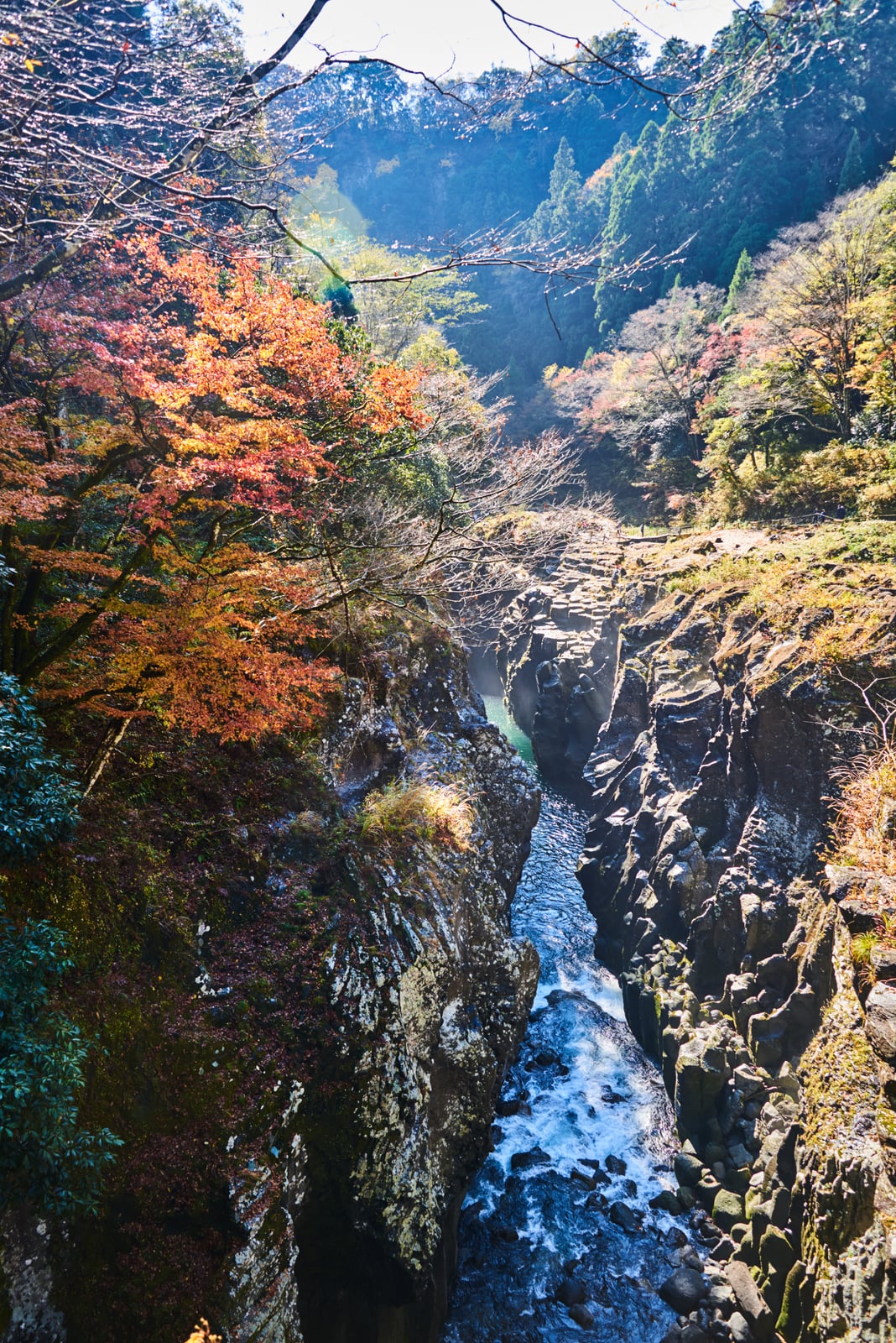 高千穗峽谷的秋日楓紅溪流｜2018/11 南九州