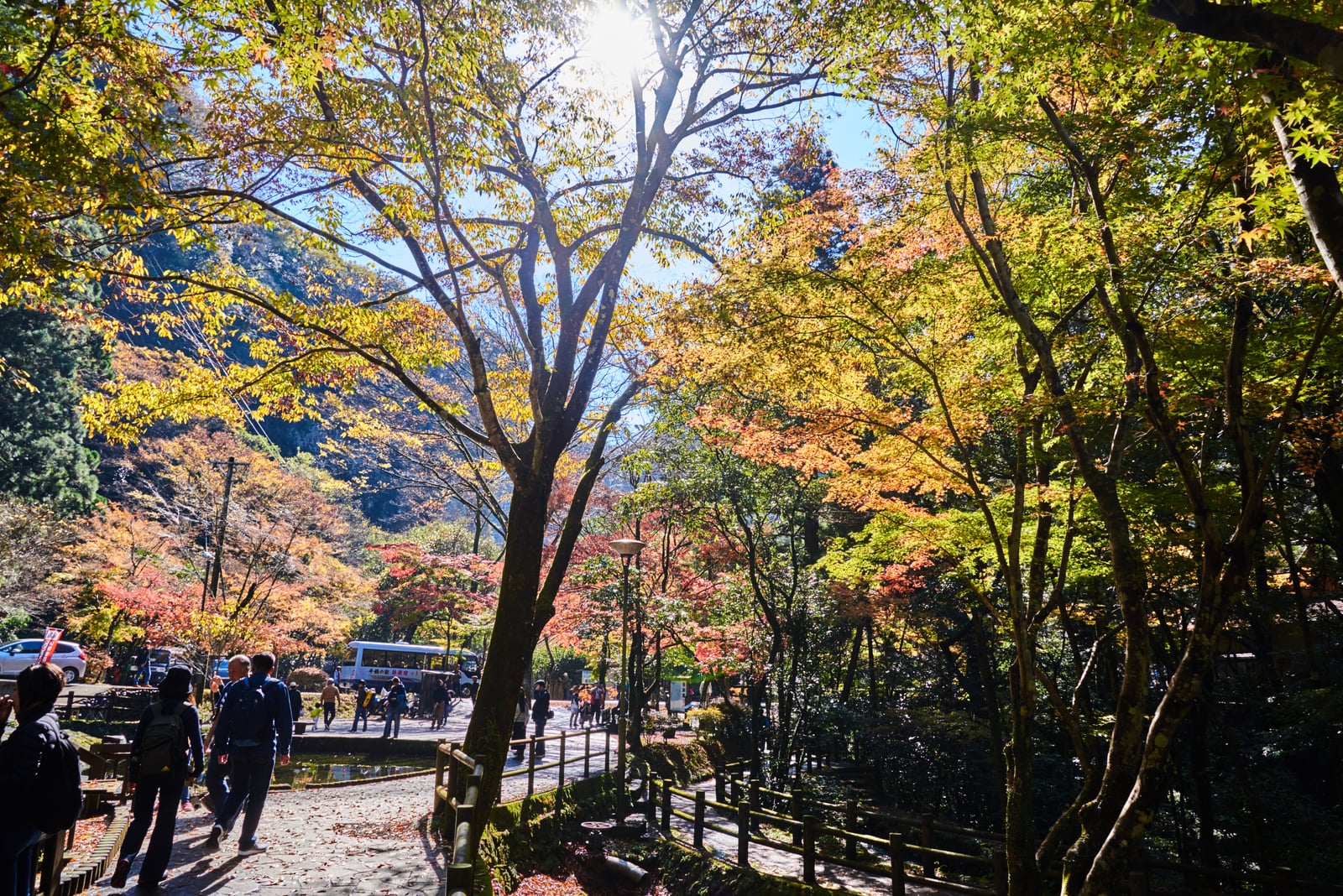 高千穗峽的秋日暖陽與紅葉林｜2018/11 南九州