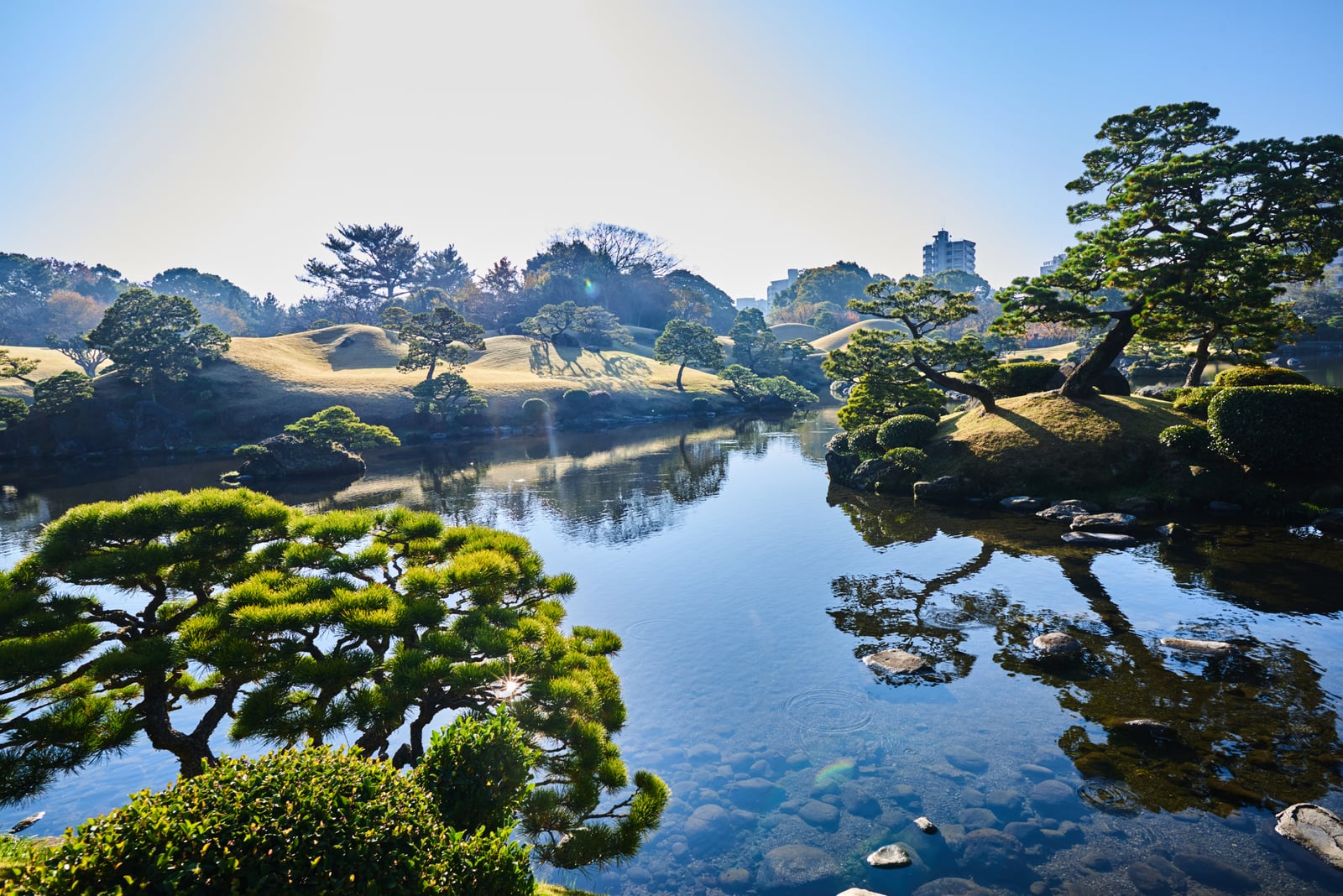 水前寺成趣園的晨光倒影｜2018/11 南九州