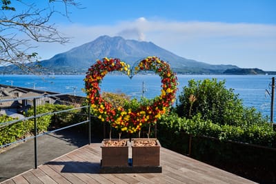 仙巖園花卉愛心與遠眺櫻島火山