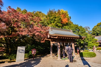 水前寺成趣園的秋日手水舍