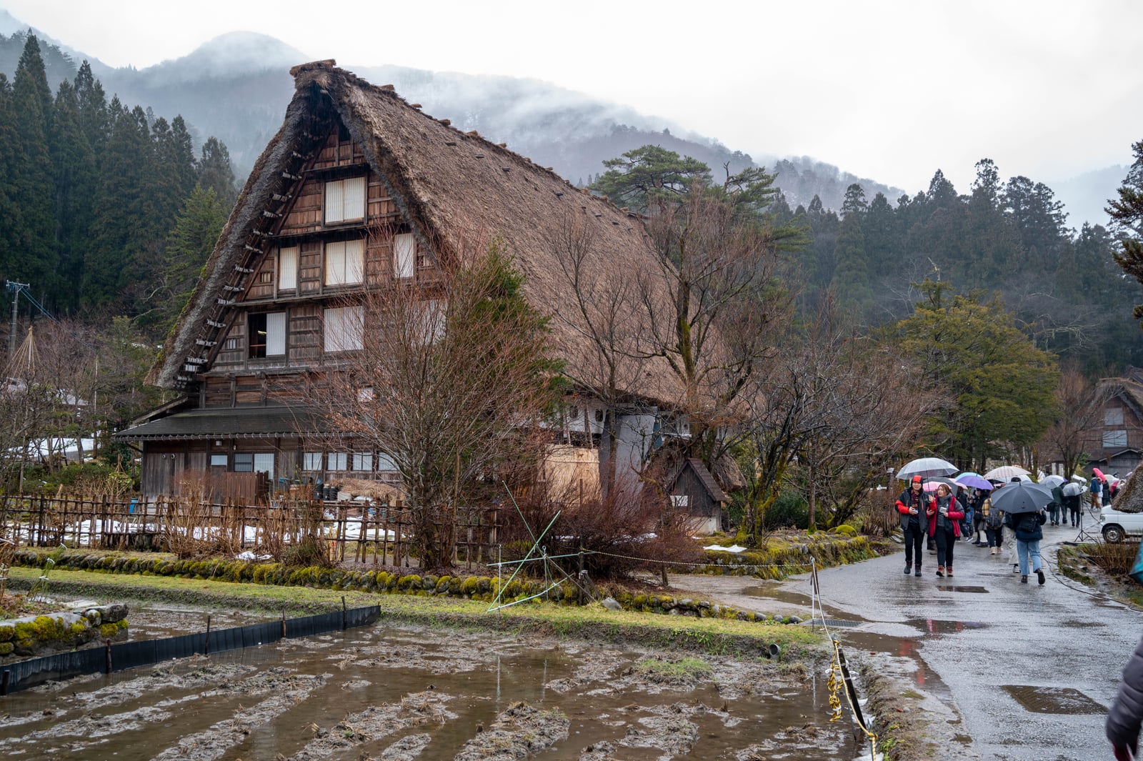 明善寺鄉土館的傳統茅草屋頂建築｜2020/02 合掌村/北陸/名古屋