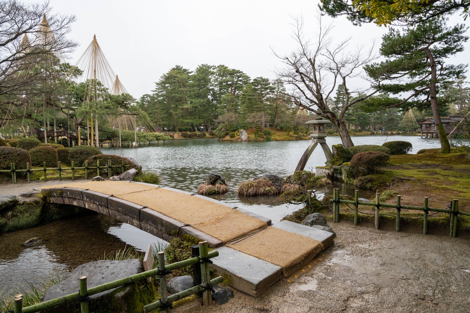 兼六園霞池的冬日靜謐庭園景致｜2020/02 合掌村/北陸/名古屋