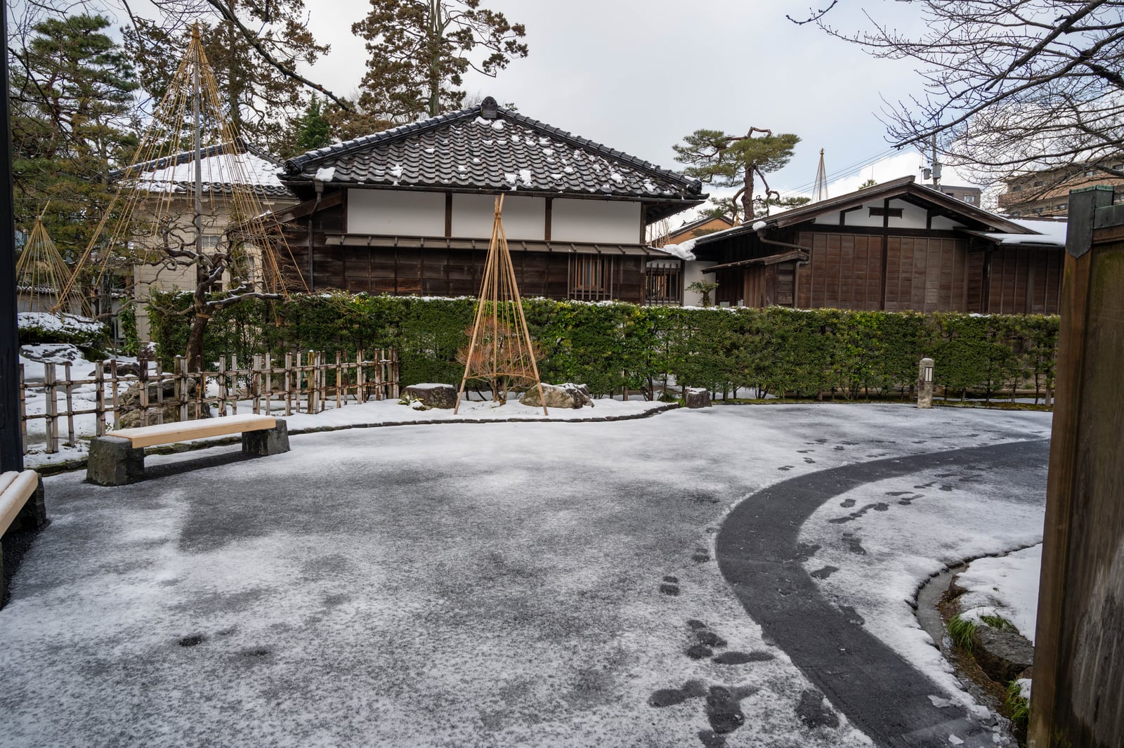 金澤冬日裡的靜謐庭園一隅｜2020/02 合掌村/北陸/名古屋