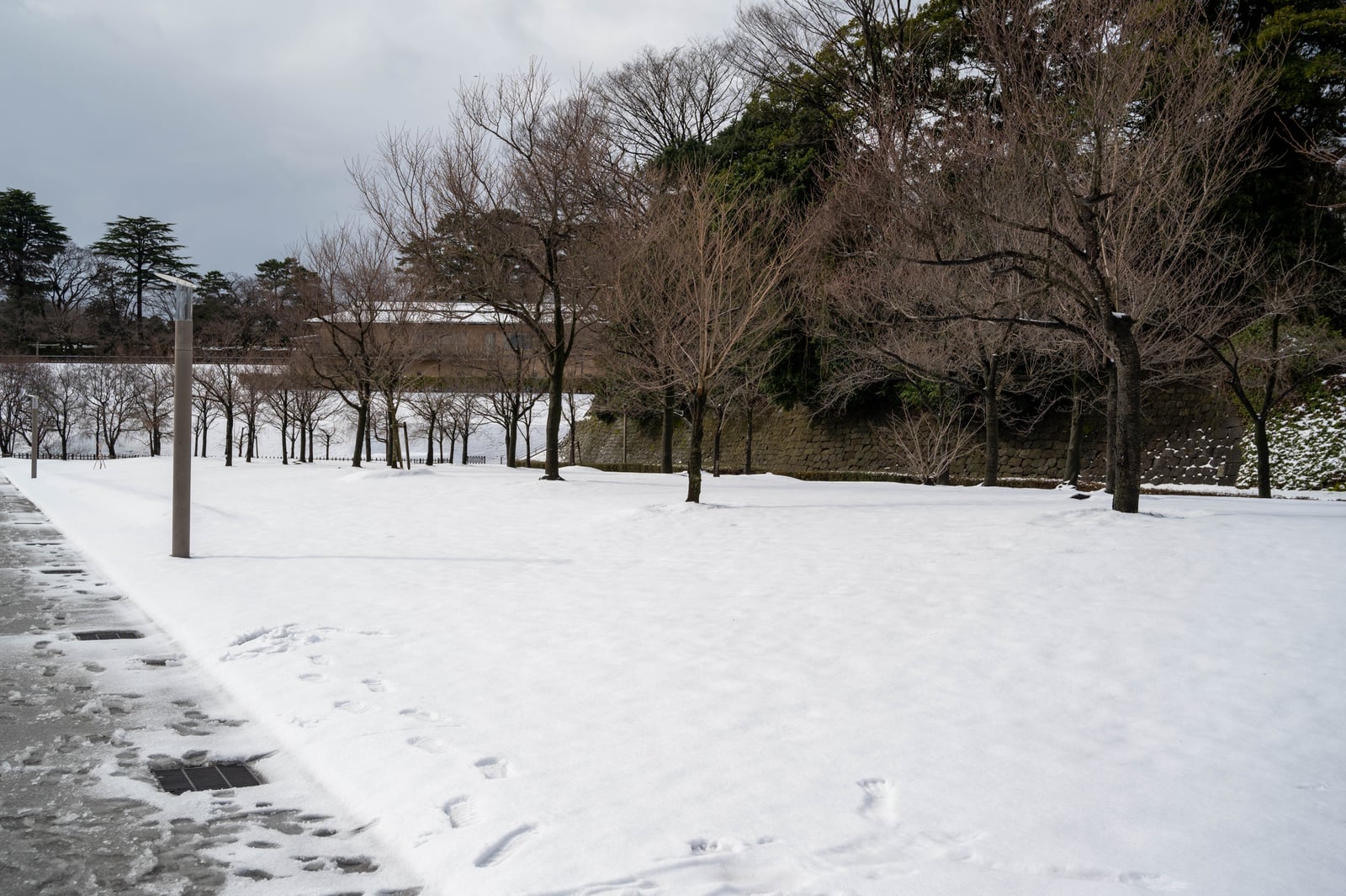 舊高峰家周邊的靜謐雪景｜2020/02 合掌村/北陸/名古屋
