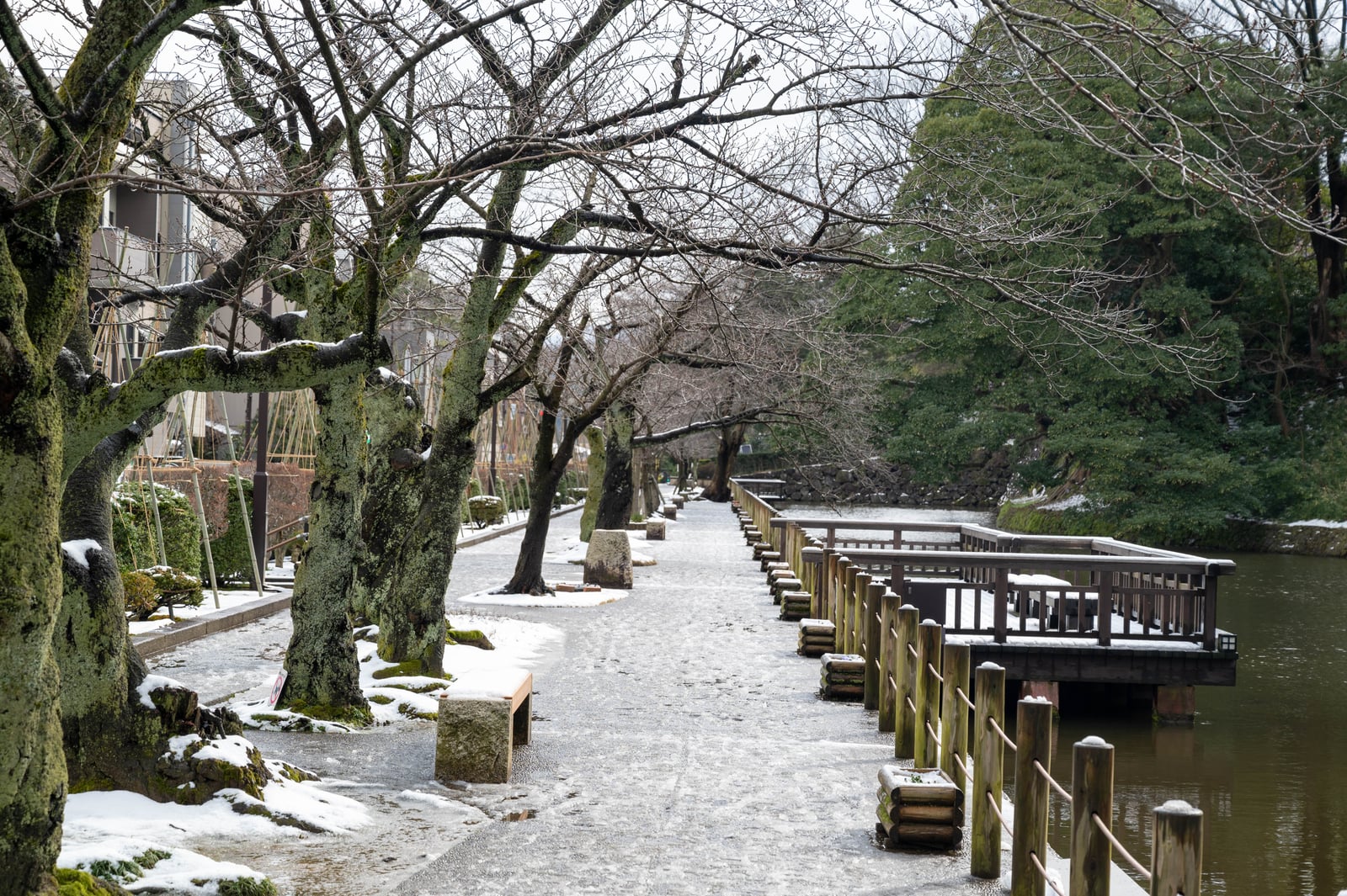 金澤城公園護城河畔的冬日雪景｜2020/02 合掌村/北陸/名古屋
