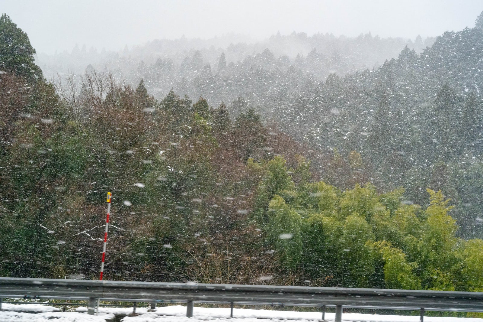 藤下若宮八幡神社周邊的漫天紛飛雪景｜2020/02 合掌村/北陸/名古屋