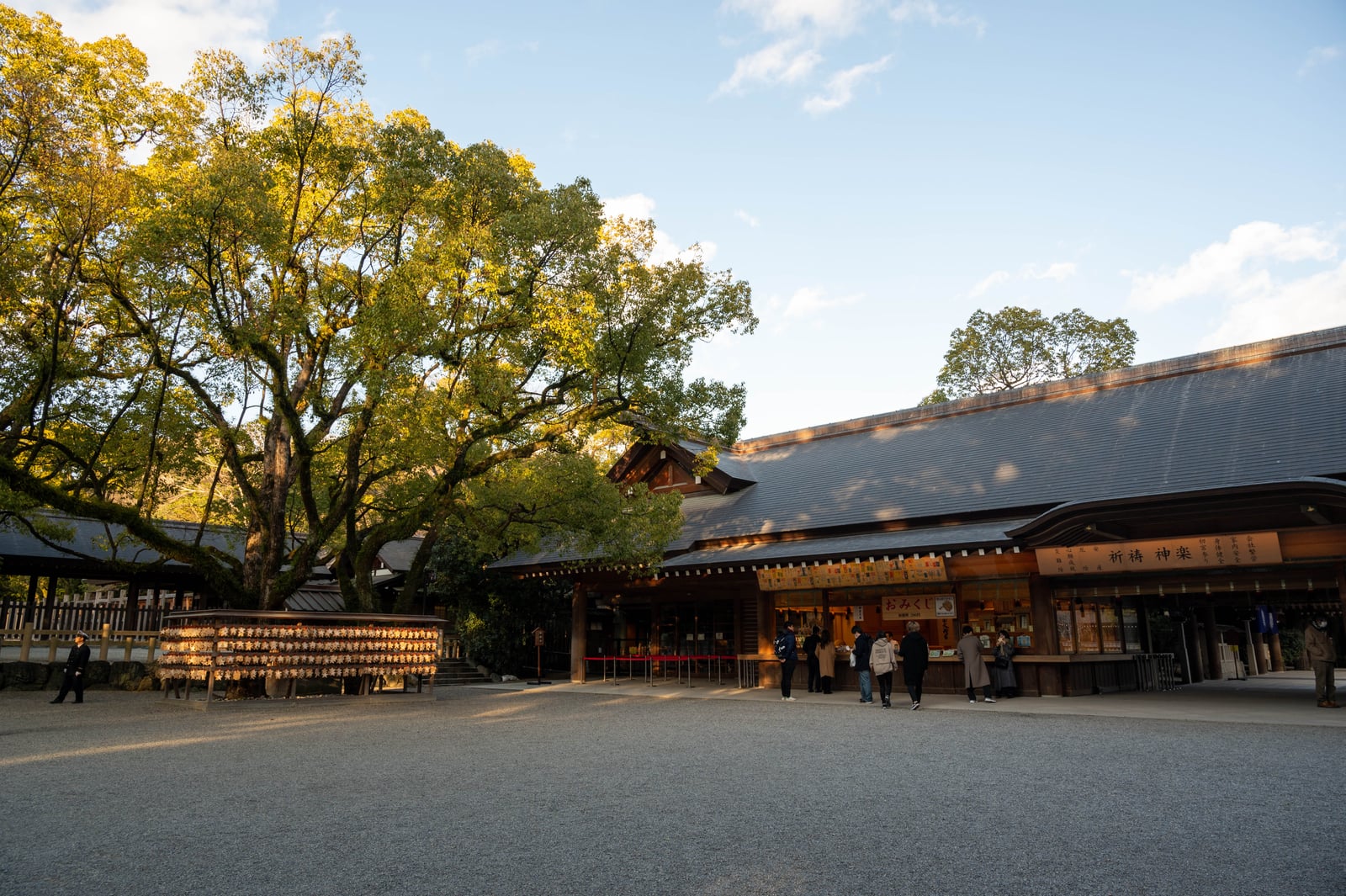 熱田神宮境內的午後暖陽與古木｜2020/02 合掌村/北陸/名古屋