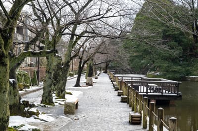 金澤城公園護城河畔的冬日雪景