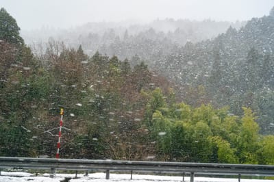 藤下若宮八幡神社周邊的漫天紛飛雪景