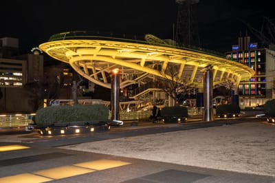 夜色中璀璨的綠洲 21 建築光影