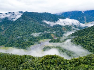 鳩之澤山谷間的繚繞雲霧