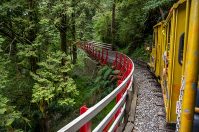 太平山林業鐵路穿梭蓊鬱山林｜2020/08 宜蘭四日