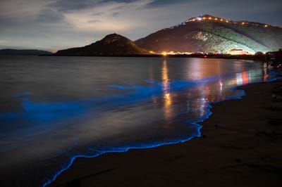 后沃沙灘的夢幻藍眼淚夜色｜2021/05 馬祖八日