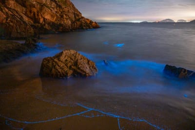 后沃海岸的夢幻藍眼淚奇景｜2021/05 馬祖八日