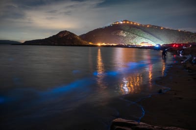 后沃沙灘的藍眼淚夜色｜2021/05 馬祖八日
