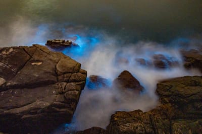 東引海岸的夢幻藍眼淚奇景