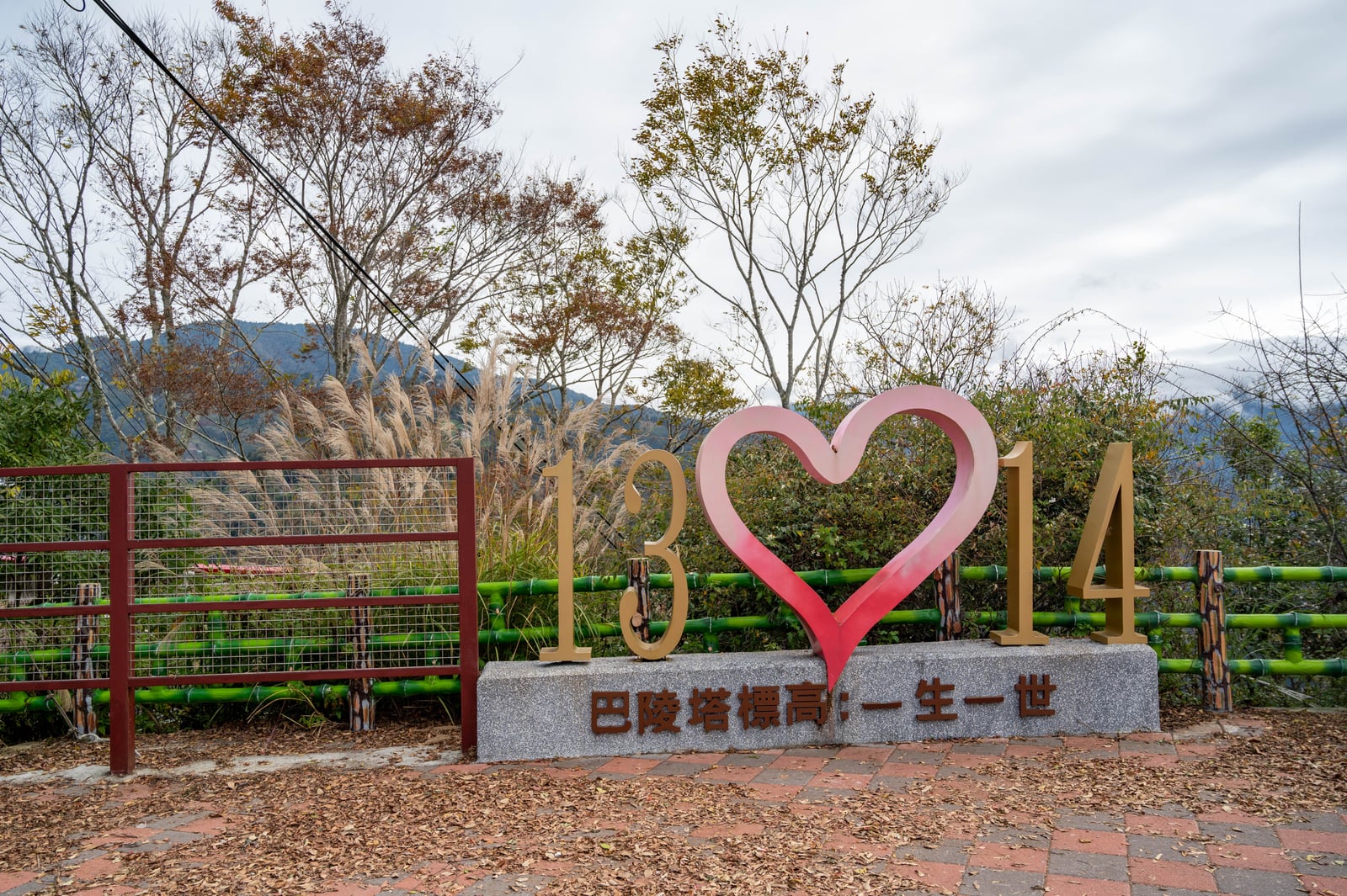 巴陵鐵塔標高一三一四粉紅愛心造景｜2021/12 大溪拉拉山明池