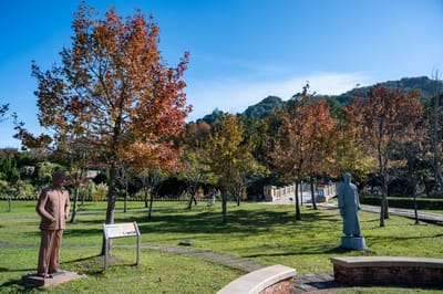 慈湖紀念雕塑公園冬日銅像與轉紅樹木