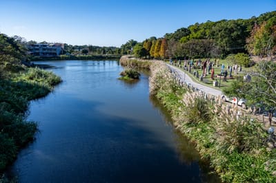 慈湖橋畔水岸與雕塑公園風光