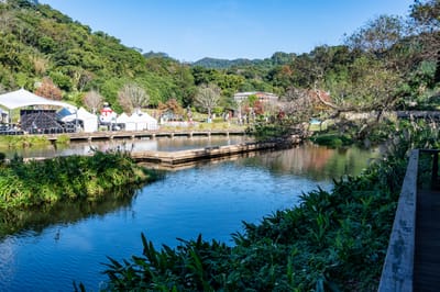 慈湖橋畔的生態水池與遠山綠意