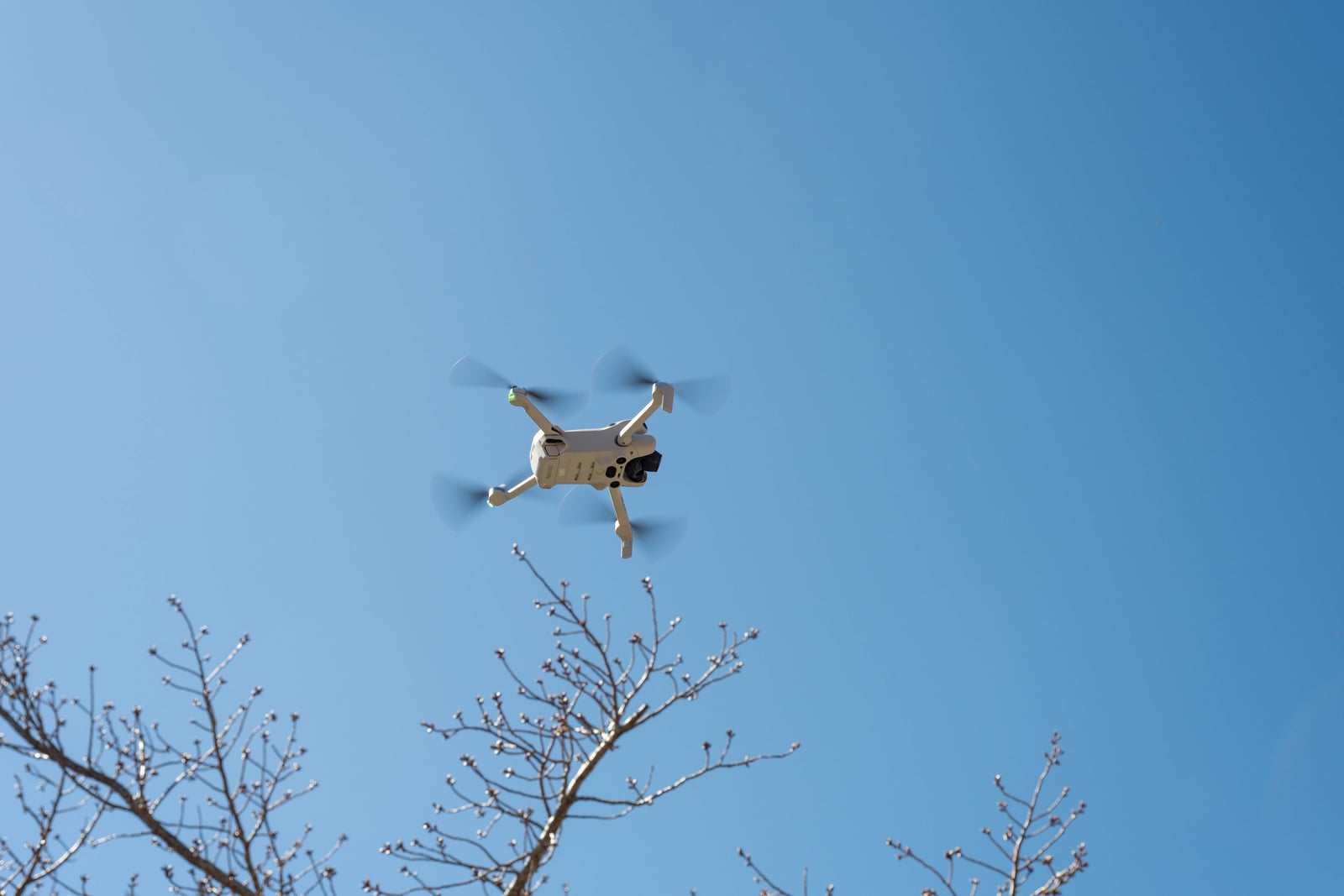 藍天下的空拍機飛行紀錄｜2025/02 合歡山+福壽山農場