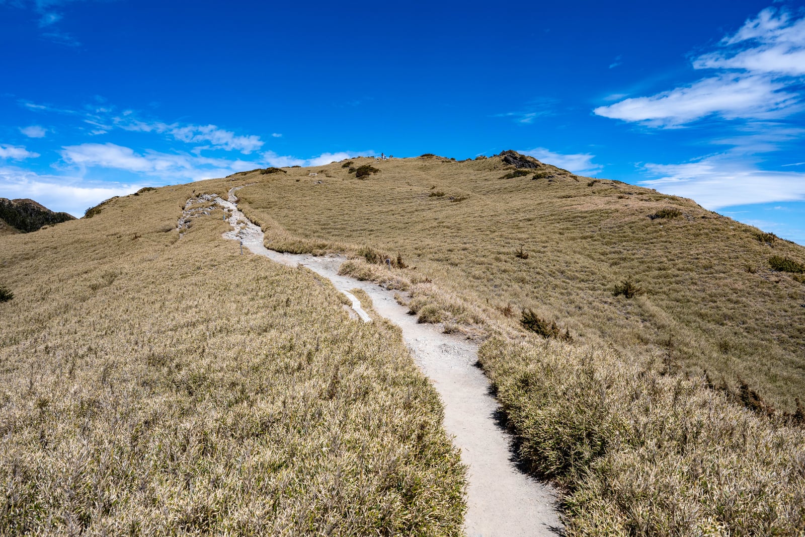 石門山頂的蜿蜒步道與藍天｜2025/02 合歡山+福壽山農場