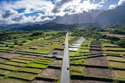 長光梯田大道的筆直延伸與山海景致