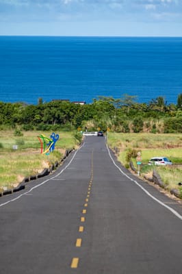 直奔蔚藍太平洋的長光梯田大道