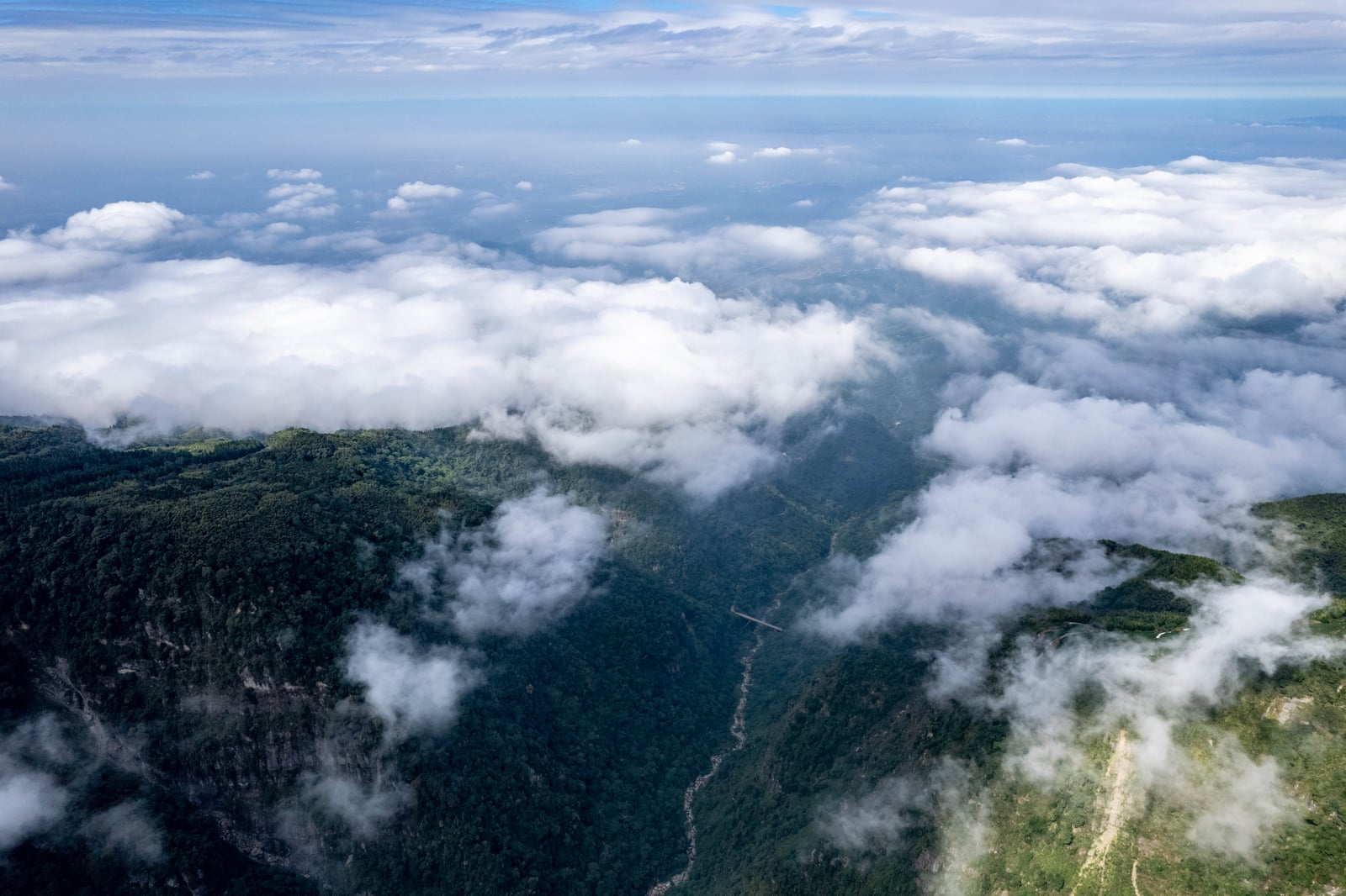 雲嶺之丘高空俯瞰山巒與雲海交織｜2022/11 古坑草嶺