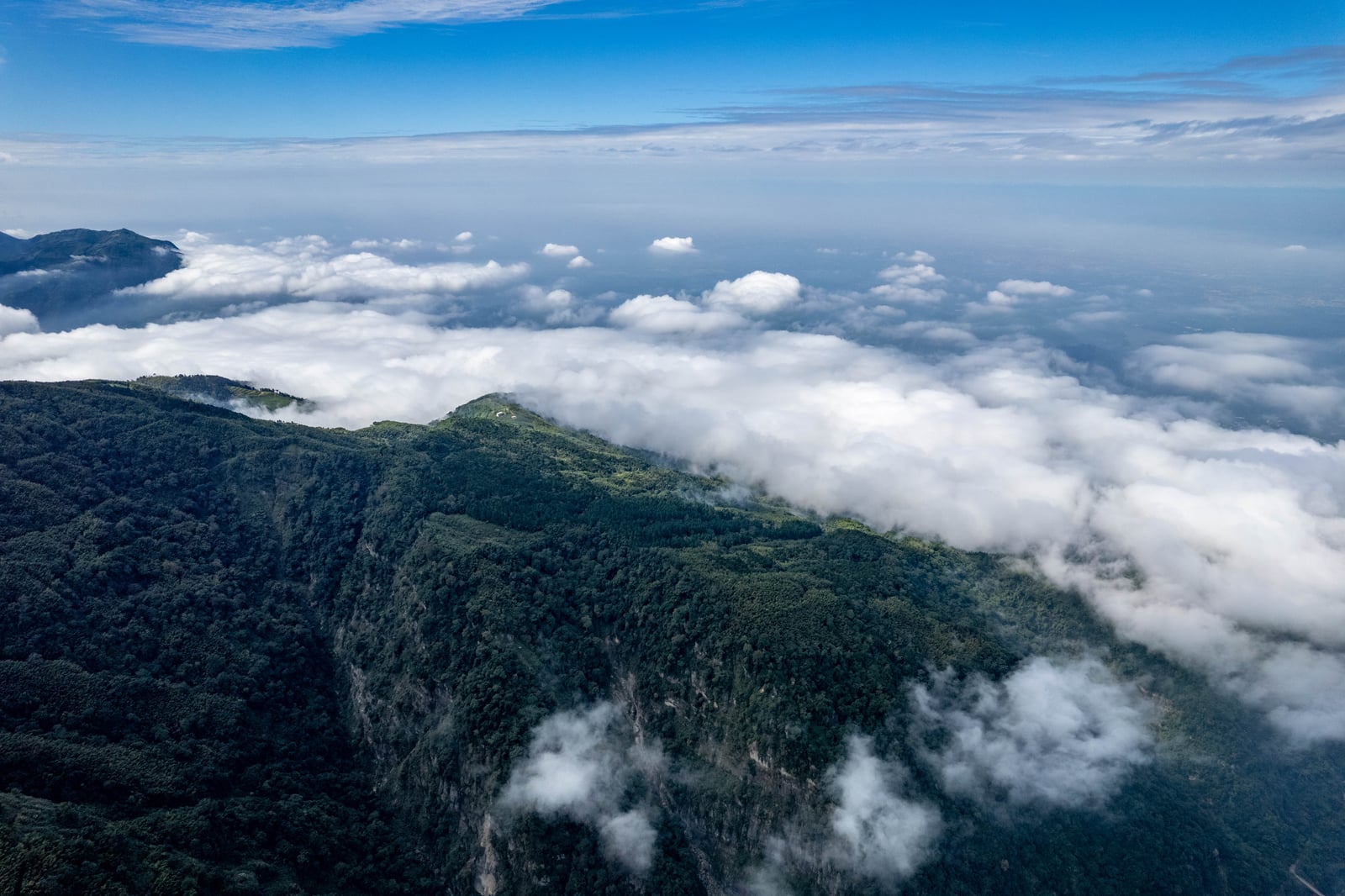 雲嶺之丘的壯麗雲海與翠綠山巒｜2022/11 古坑草嶺