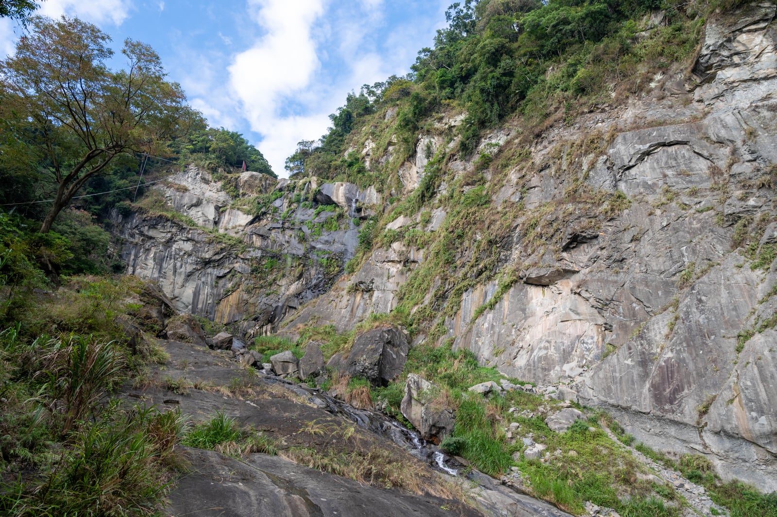 蓬萊吊橋旁的壯麗岩壁與山谷溪流｜2022/11 古坑草嶺
