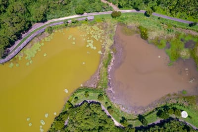 俯瞰大武金龍湖的雙色水域