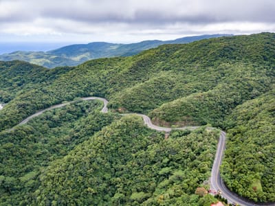 藏橋於林景觀台俯瞰蜿蜒山路