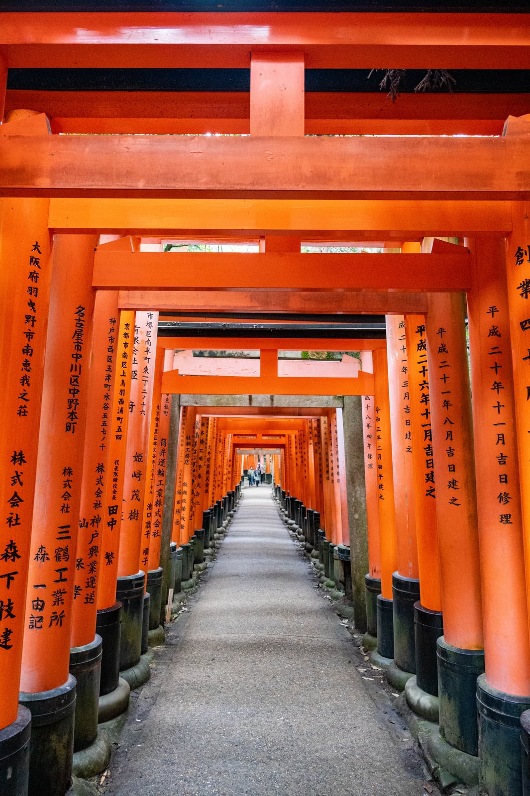 豊川大神朱紅色的千本鳥居長廊｜2023/04 關西賞櫻/環球影城
