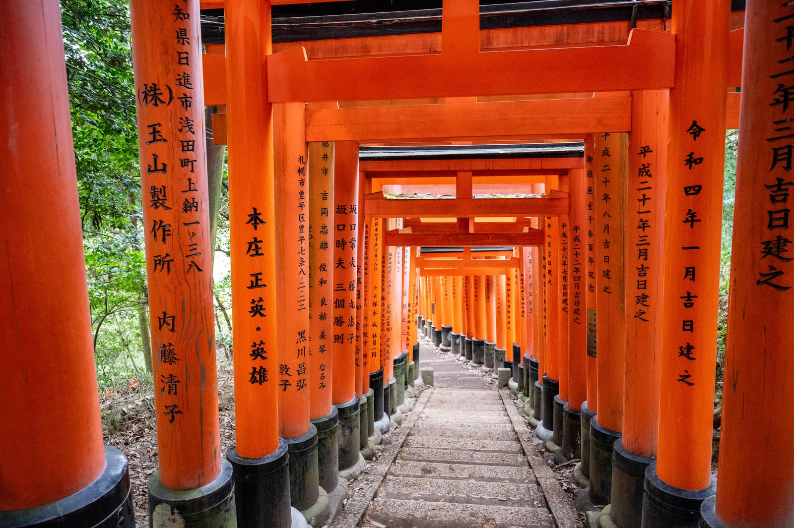 熊鷹社前綿延不絕的朱紅千本鳥居｜2023/04 關西賞櫻/環球影城
