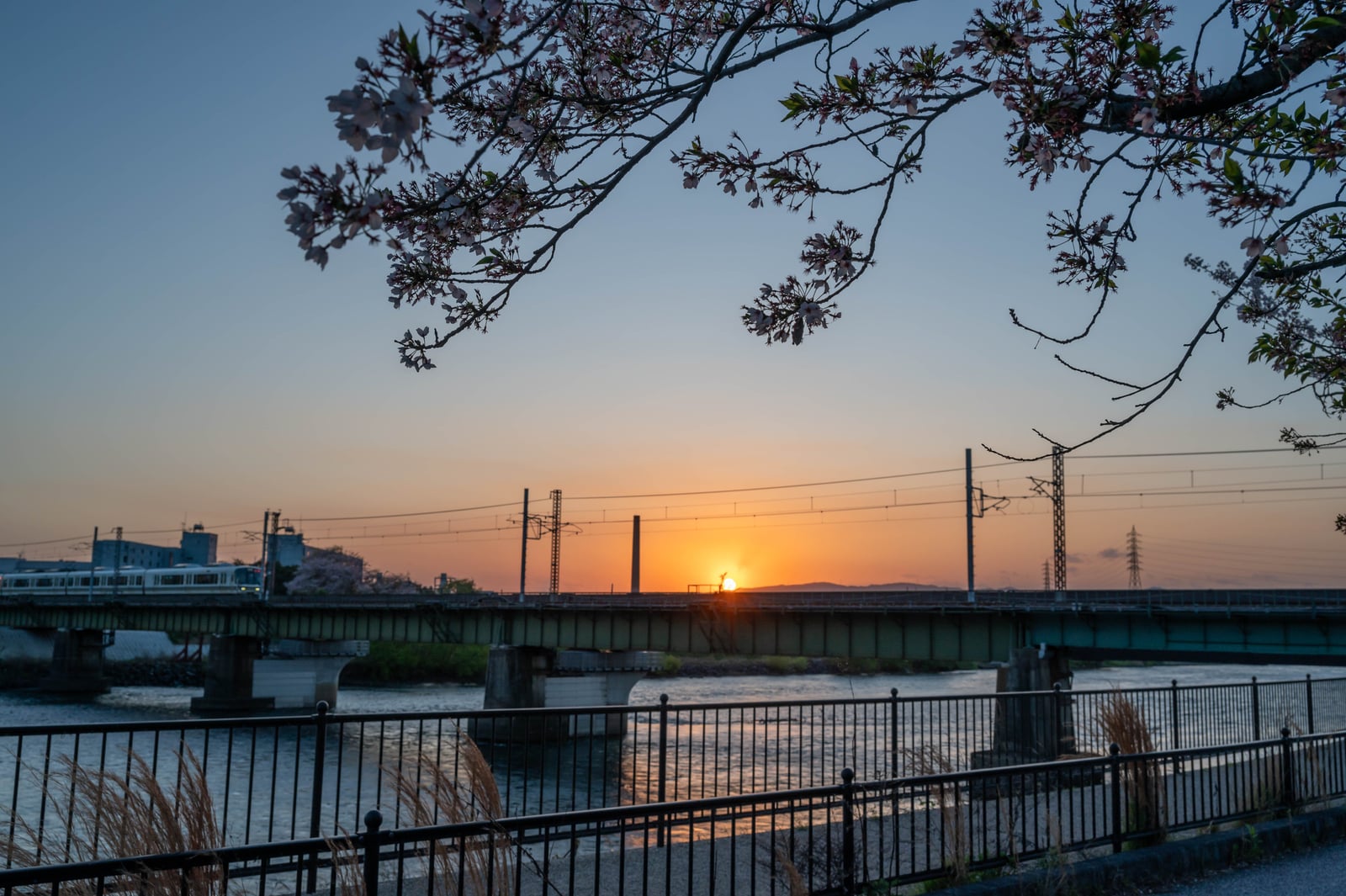 宇治川畔的鐵道夕陽與櫻花｜2023/04 關西賞櫻/環球影城