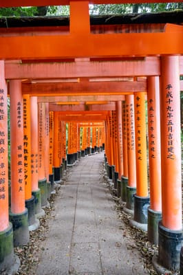 熊鷹社綿延不絕的朱紅色千本鳥居｜2023/04 關西賞櫻/環球影城