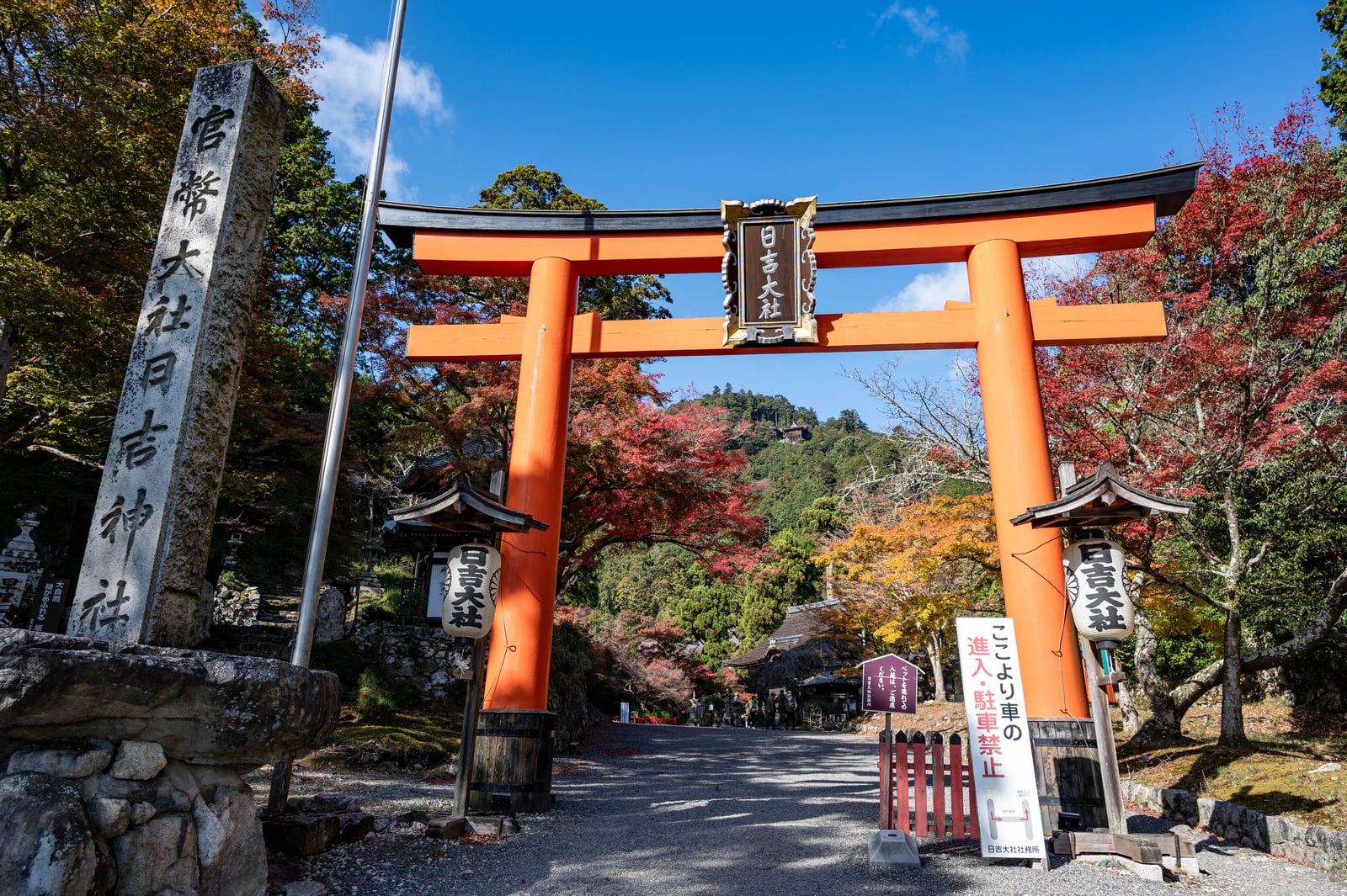 日吉大社朱紅鳥居與秋日楓紅｜2023/11 關西賞楓