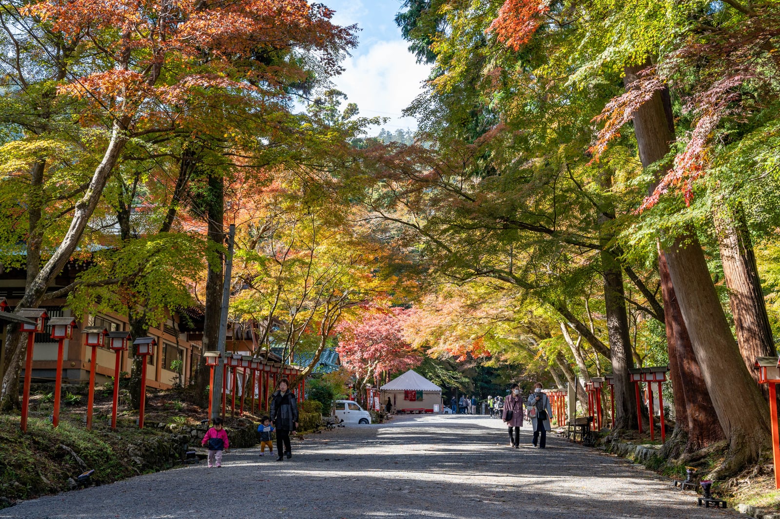 日吉古墳群參道上的秋日楓紅｜2023/11 關西賞楓
