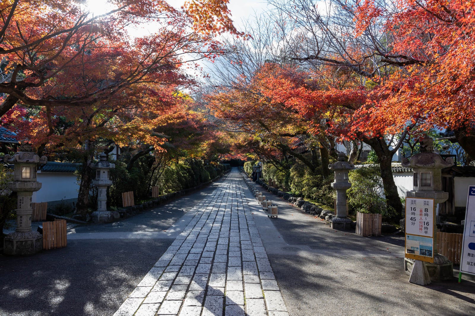 石山寺東大門前的楓紅參道｜2023/11 關西賞楓
