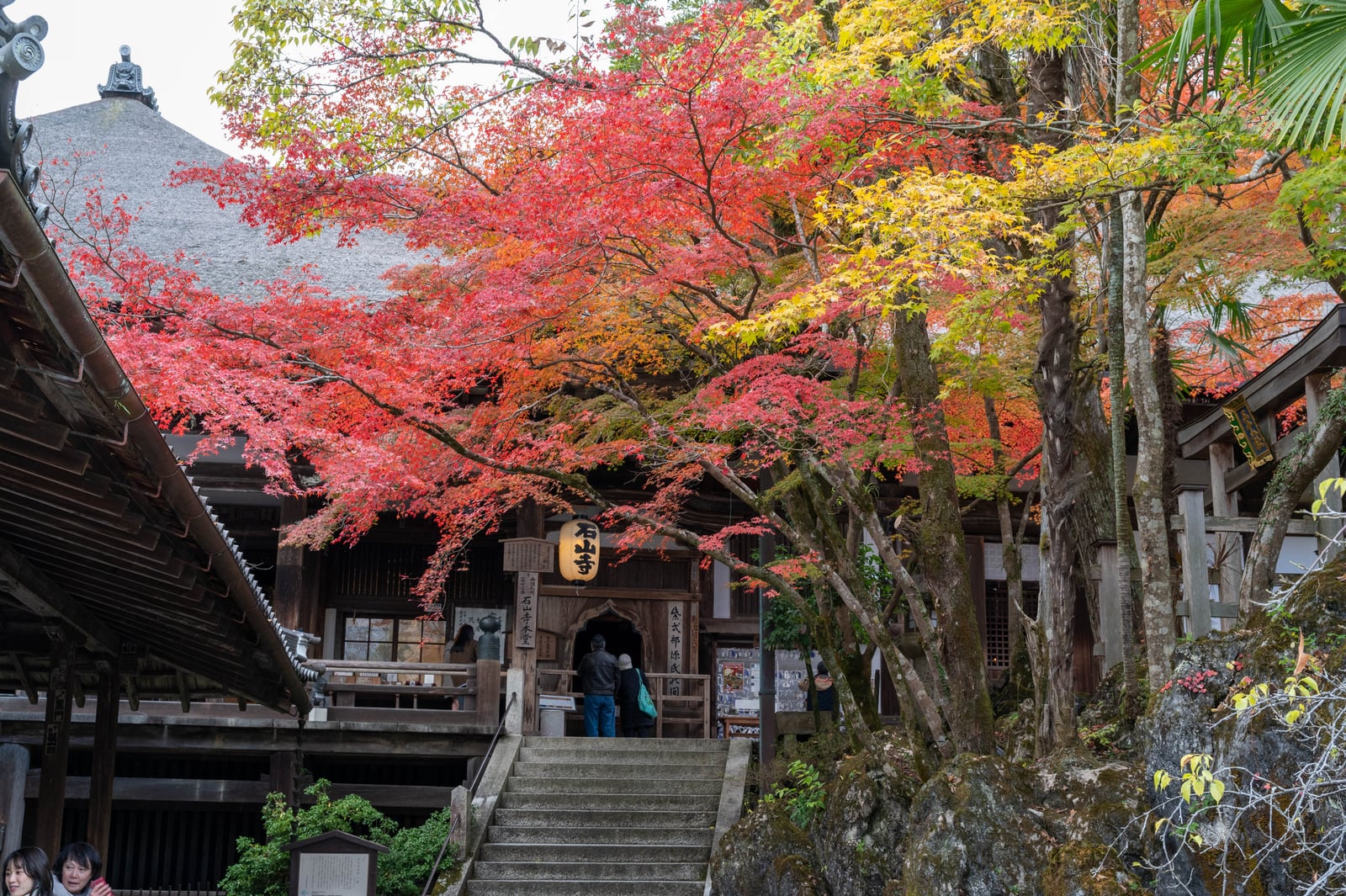 石山寺秋色，紅葉掩映下的古剎風情｜2023/11 關西賞楓