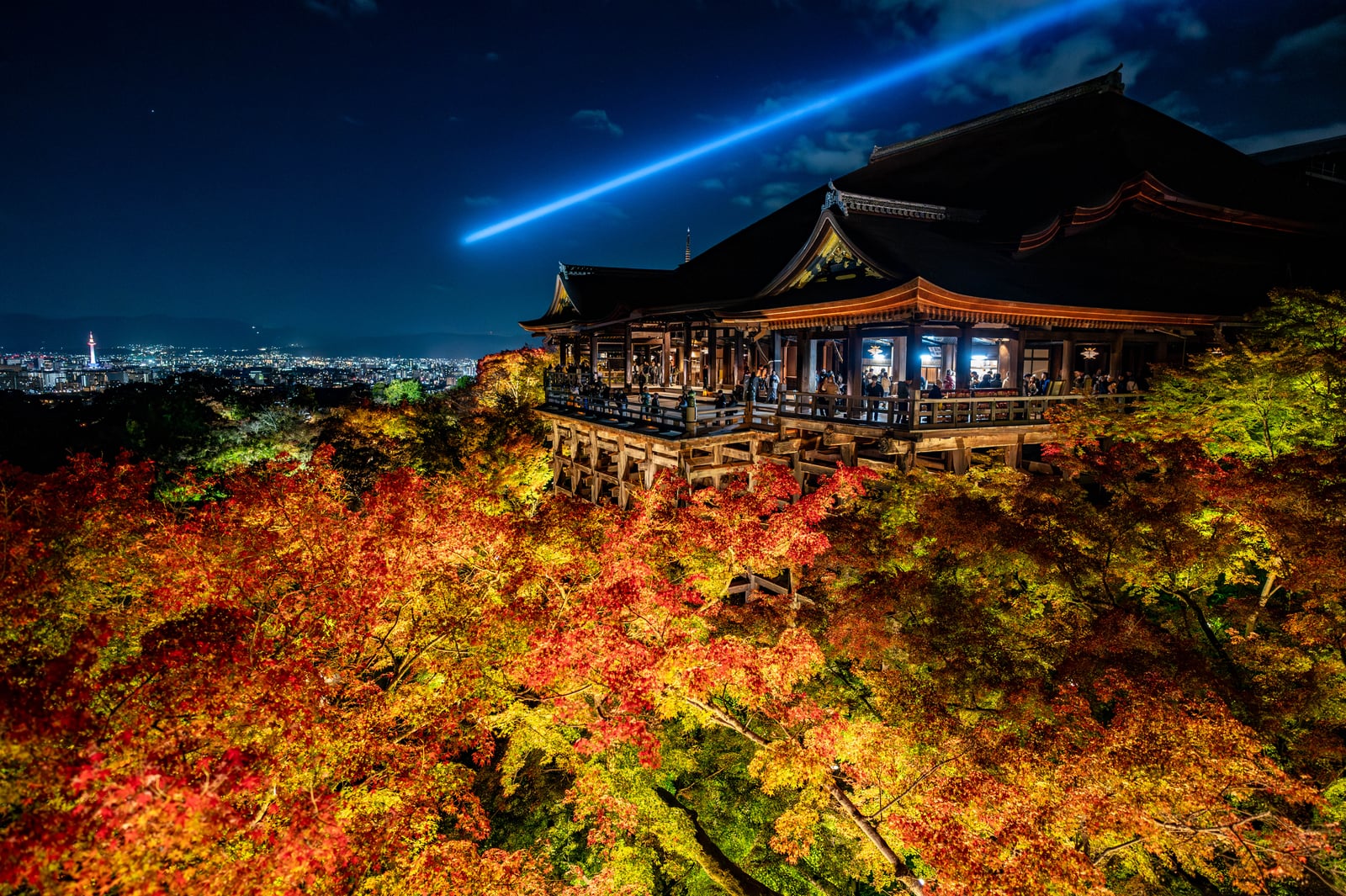 奧之院夜楓與京都市區璀璨夜景｜2023/11 關西賞楓