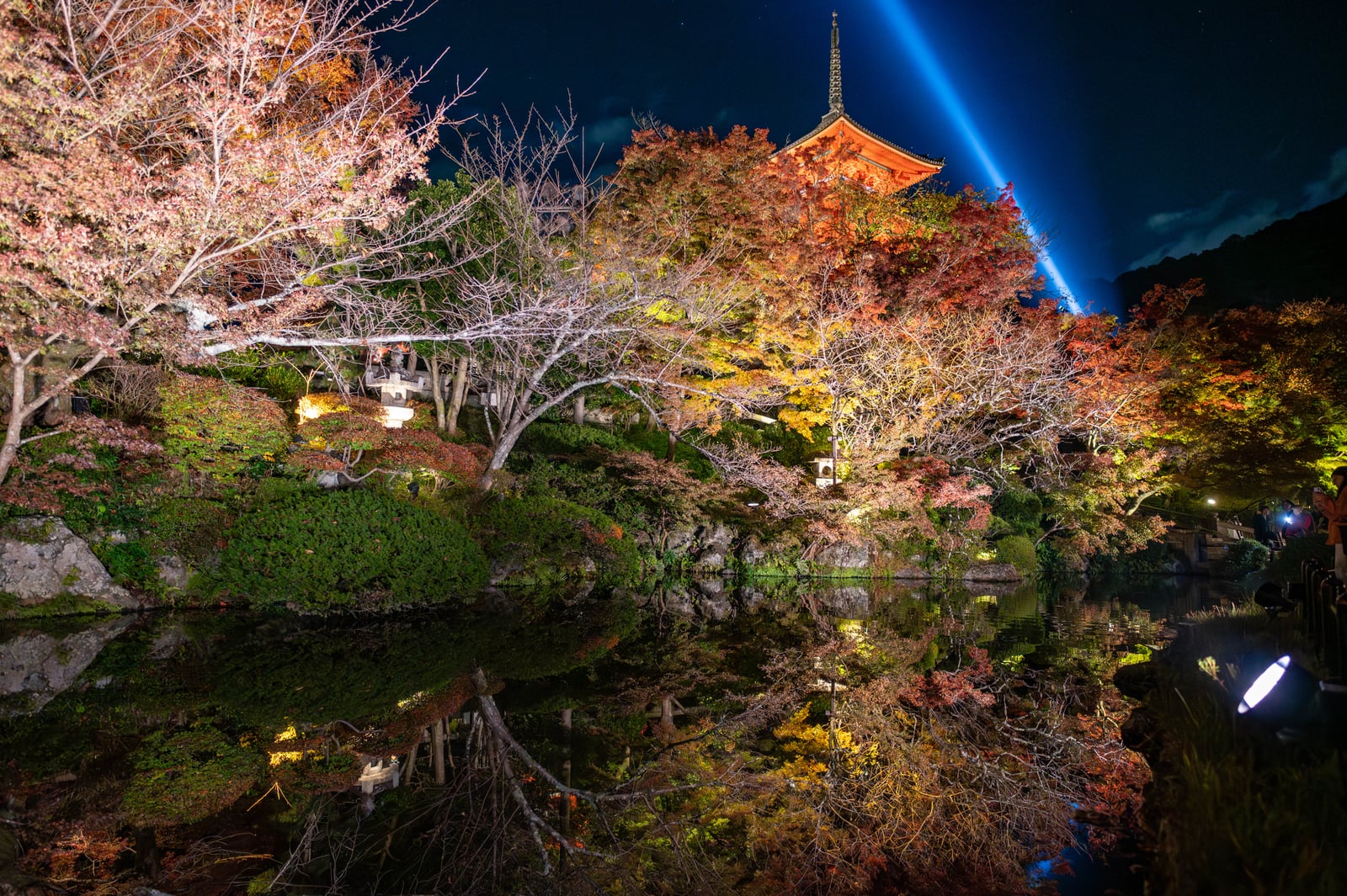 十一重石層塔的夜楓倒影｜2023/11 關西賞楓