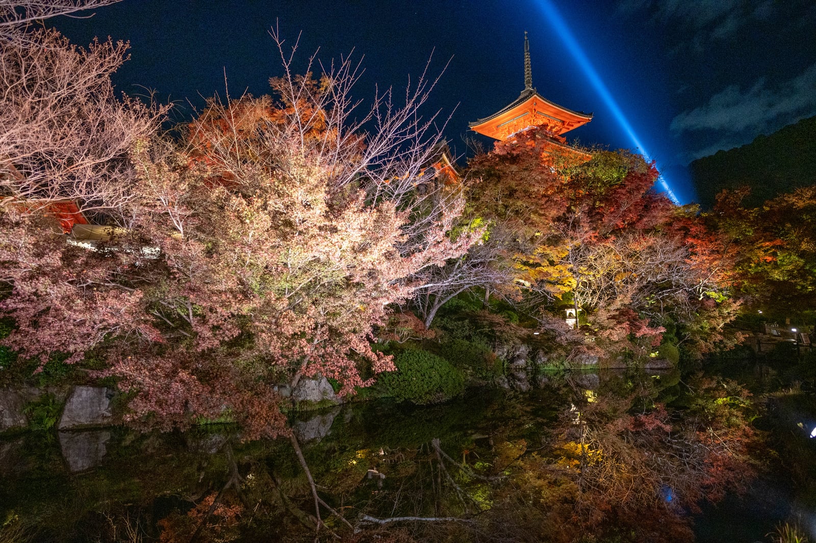 十一重石層塔的夜楓倒影｜2023/11 關西賞楓